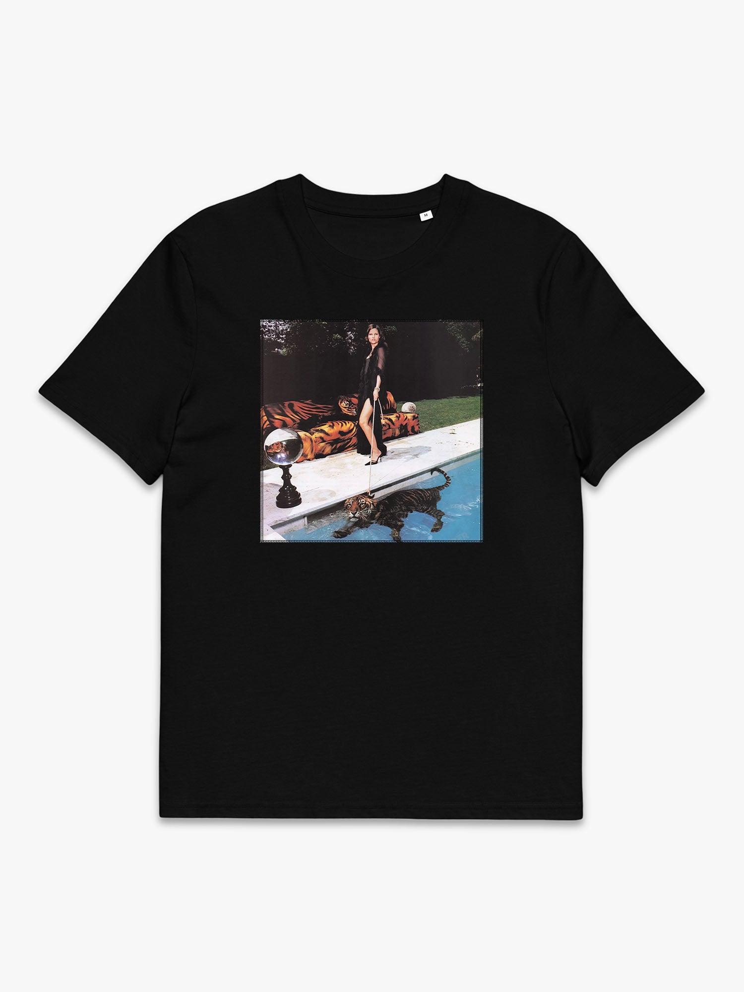 Tiger In Pool