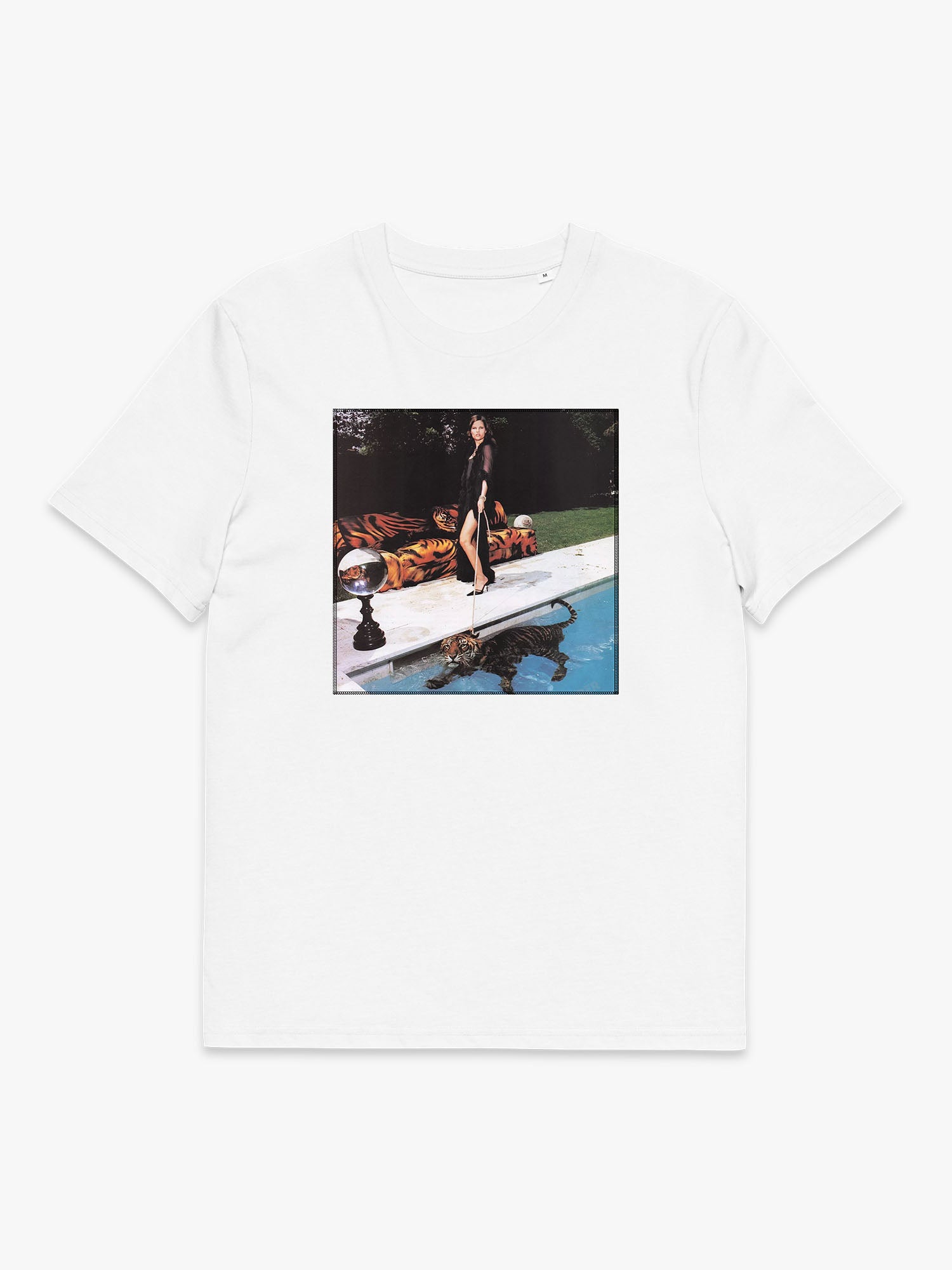 Tiger In Pool